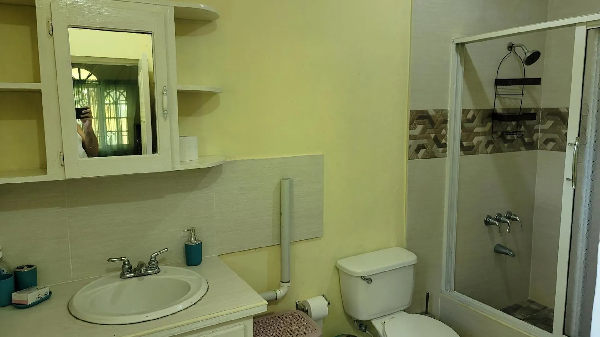 Marva'S Whitehouse By Tigress 1 Appartement Negril Jamaica