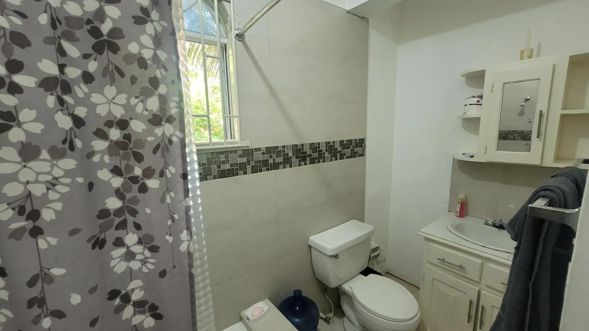 Apartmán Marva'S Whitehouse By Tigress 1 Negril